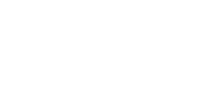 工業(yè)止回閥 HC44X