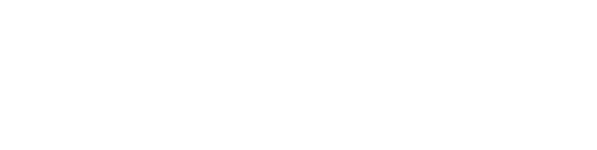 工業(yè)止回閥 HC44X