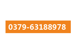 工業(yè)止回閥 HC44X